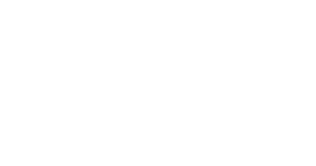 Edra S.p.A